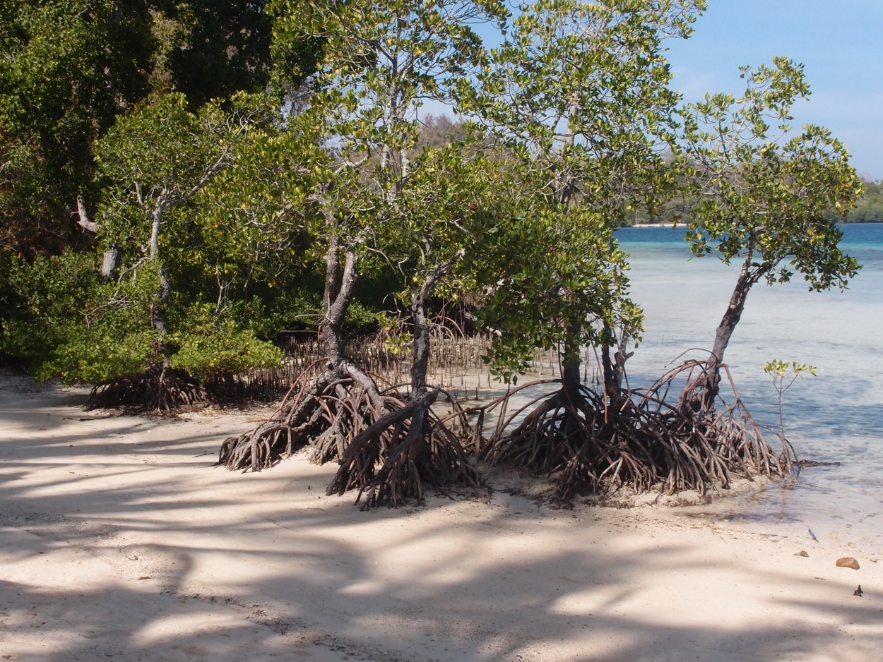 2015-10-07 Habitat des Lorbi (Foto)